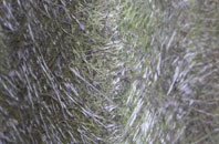 Deganwy fibreglass roof work